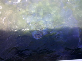 IMG 20120611 113640 (Medium)